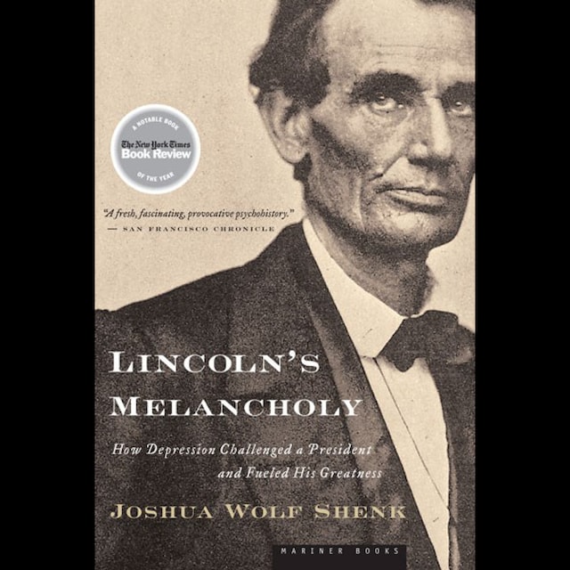 Book cover for Lincoln's Melancholy