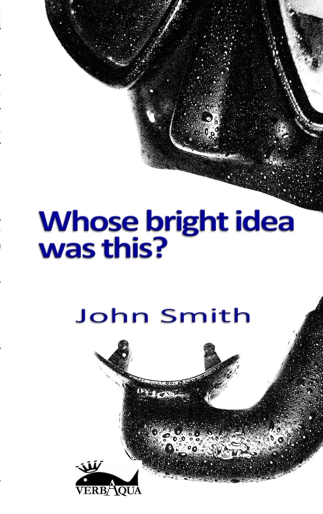 Book cover for Whose bright idea was this