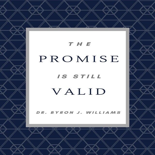 Buchcover für The Promise is Still Valid