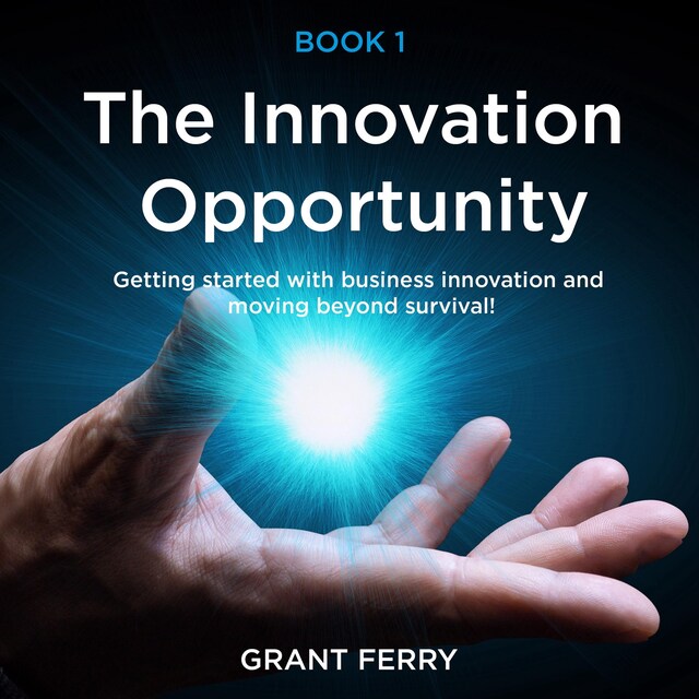 Book cover for The Innovation Opportunity