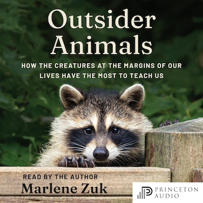 Outsider Animals