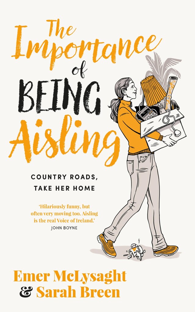 Book cover for The Importance of Being Aisling