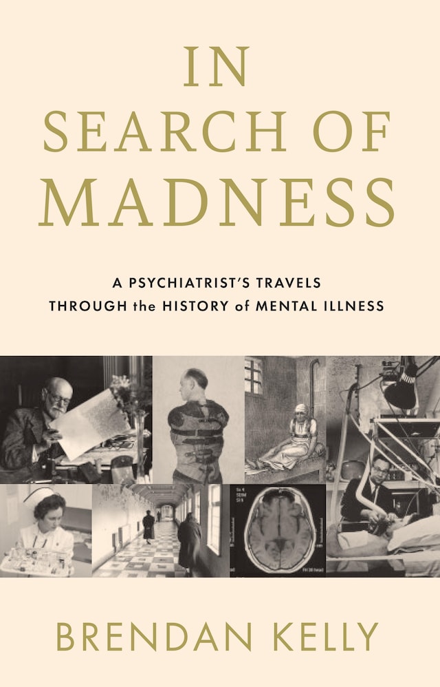 Book cover for In Search of Madness