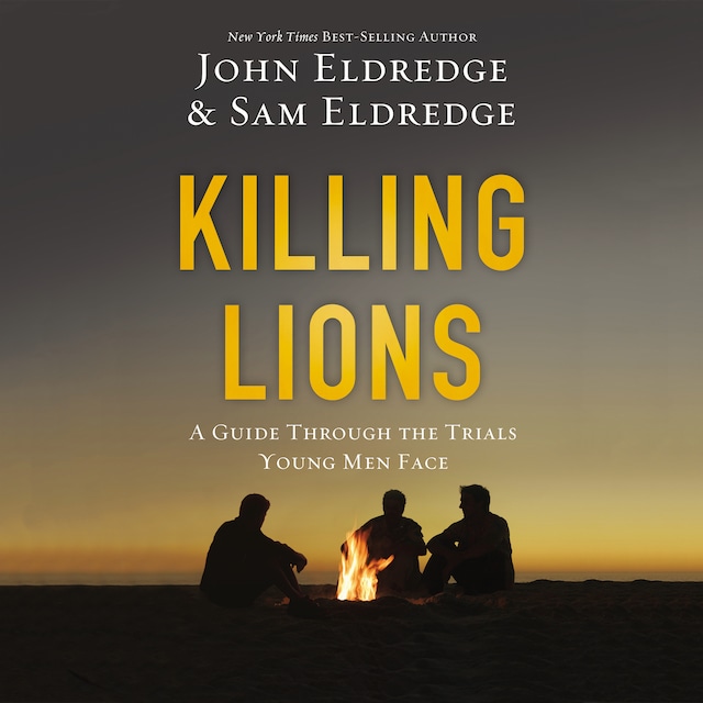Buchcover für Killing Lions