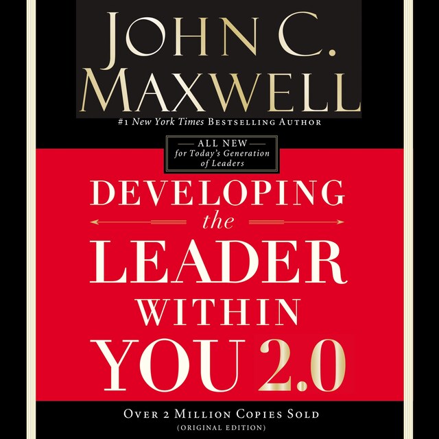 Book cover for Developing the Leader Within You 2.0