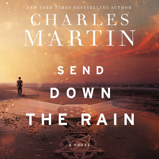 Portada de libro para Send Down the Rain