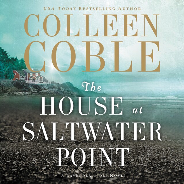 Book cover for The House at Saltwater Point