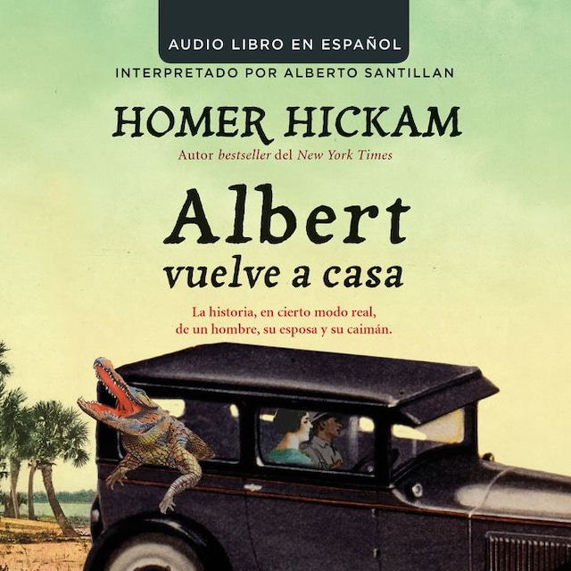 Book cover for Albert vuelve a casa