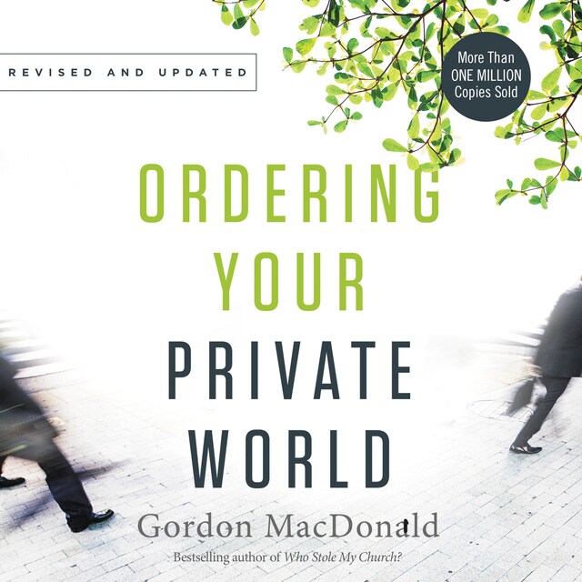 Buchcover für Ordering Your Private World