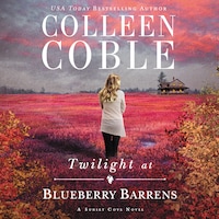Twilight at Blueberry Barrens