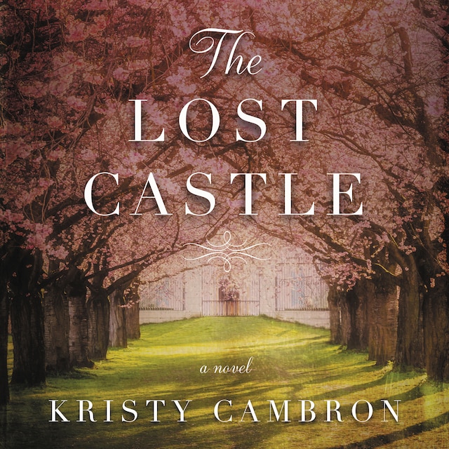 Book cover for The Lost Castle