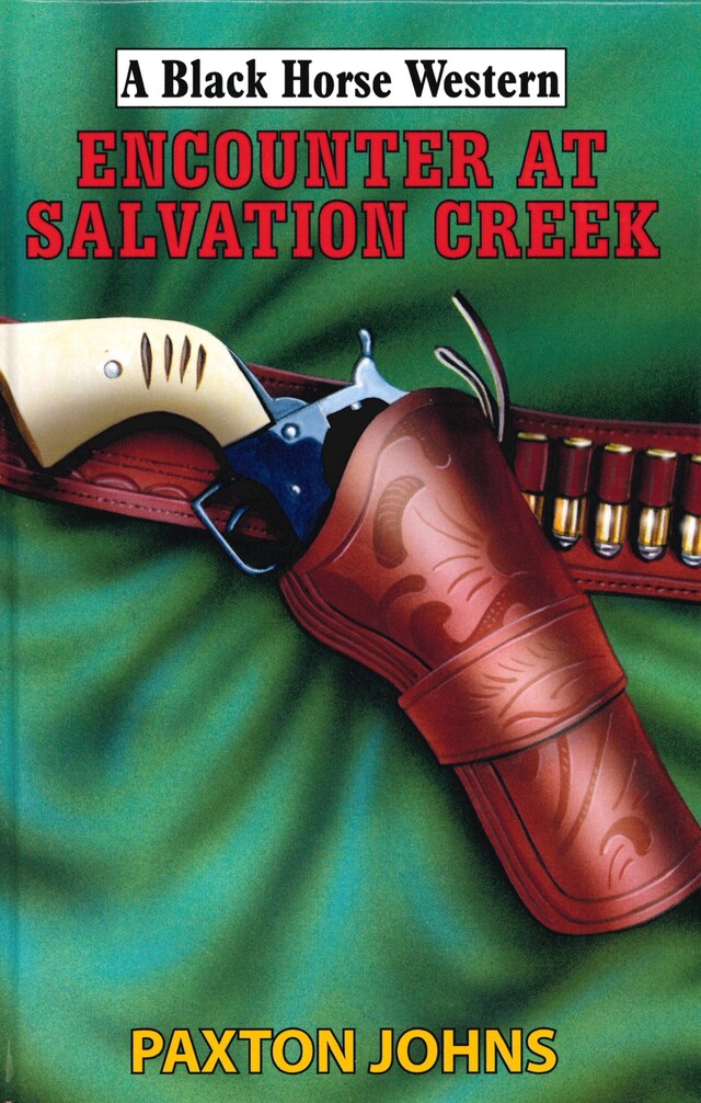 Book cover for Encounter At Salvation Creek