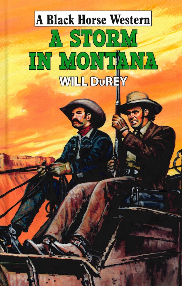 Portada de libro para A Storm in Montana