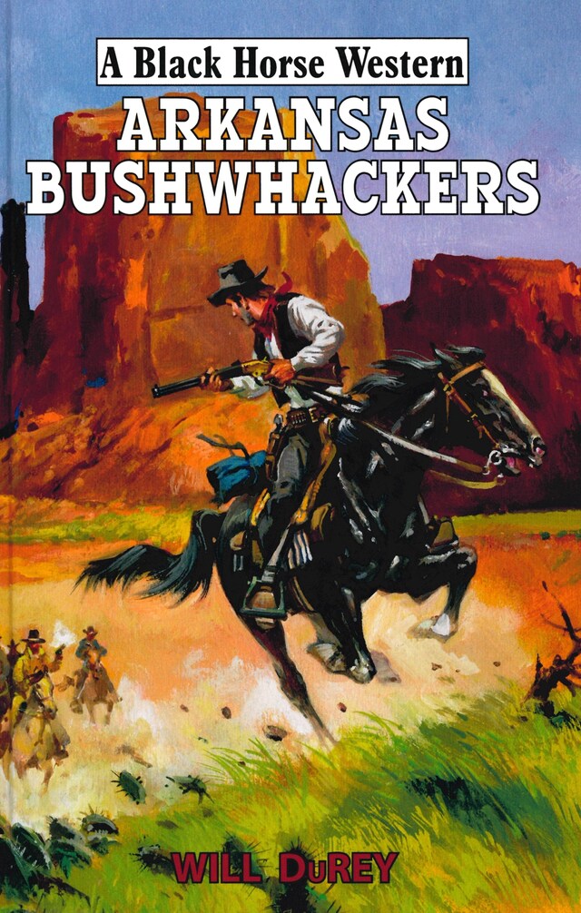 Buchcover für Arkansas Bushwackers