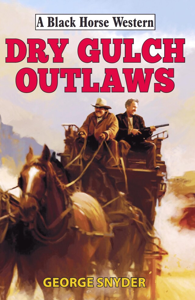 Copertina del libro per Dry Gulch Outlaws