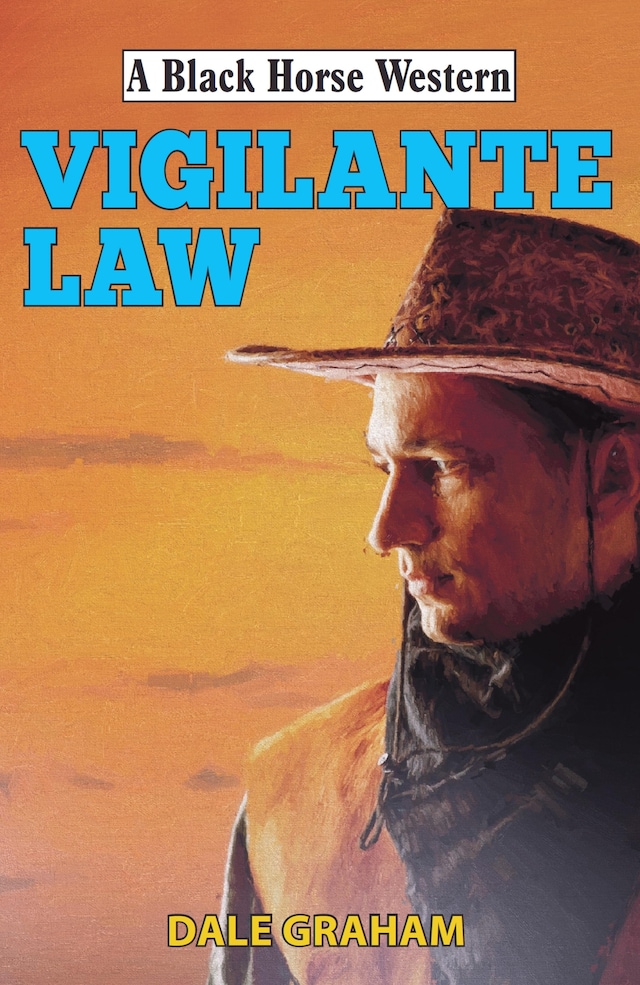 Book cover for Vigilante Law