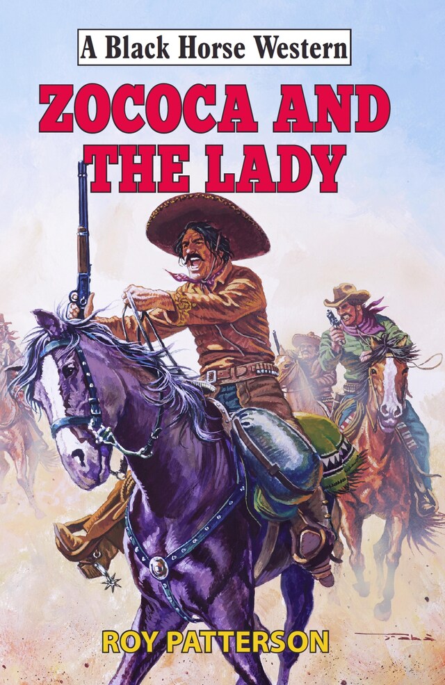 Zococa and the Lady Book cover for Zococa and the Lady