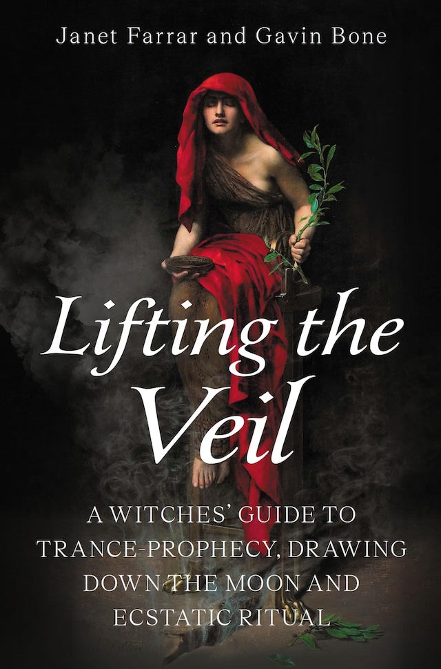 Book cover for Lifting the Veil