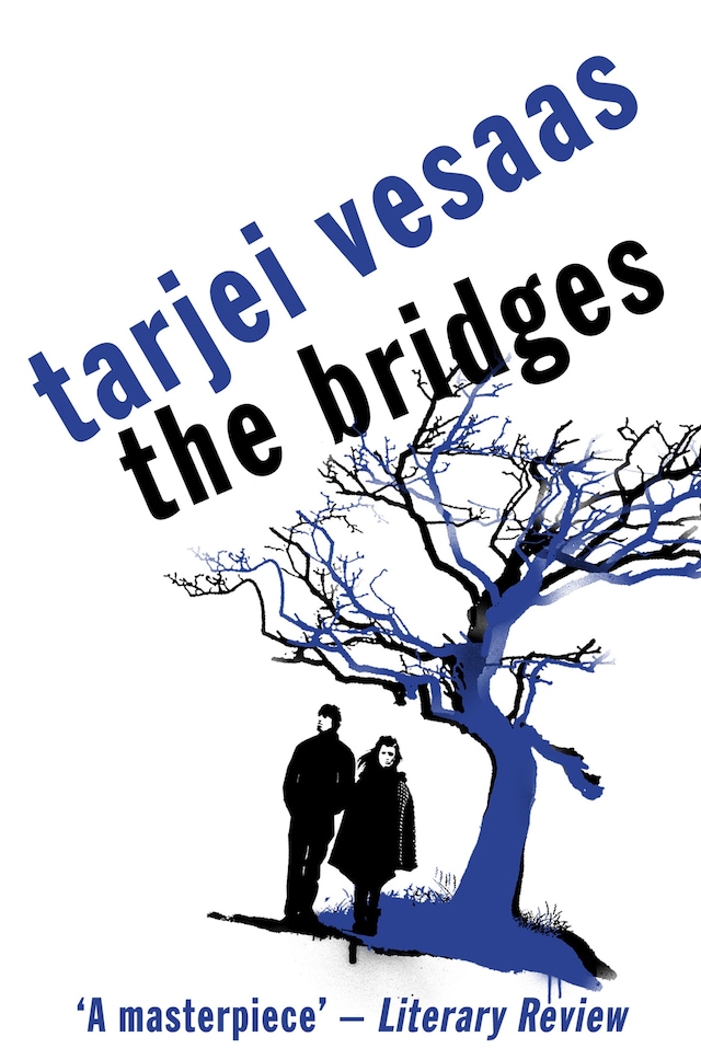Copertina del libro per The Bridges