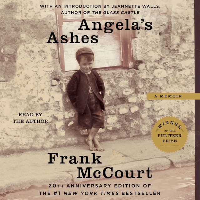 Book cover for Angela's Ashes