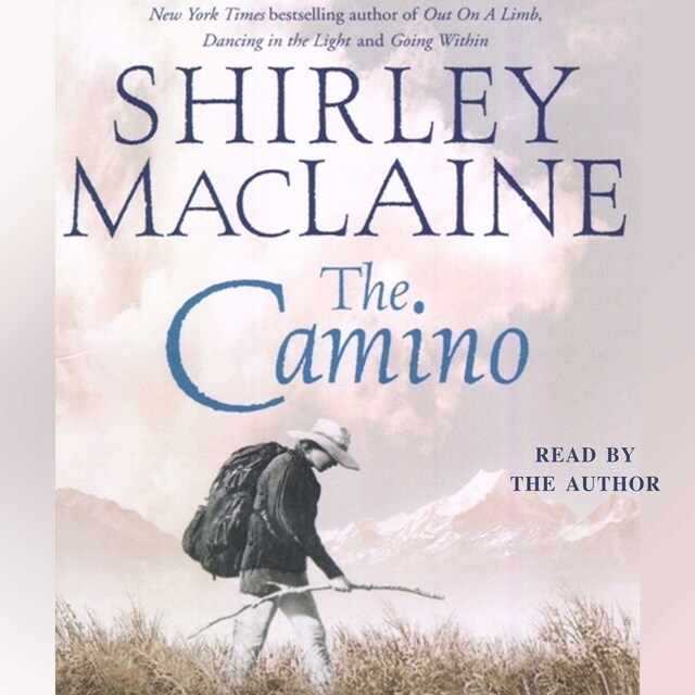 Book cover for The Camino