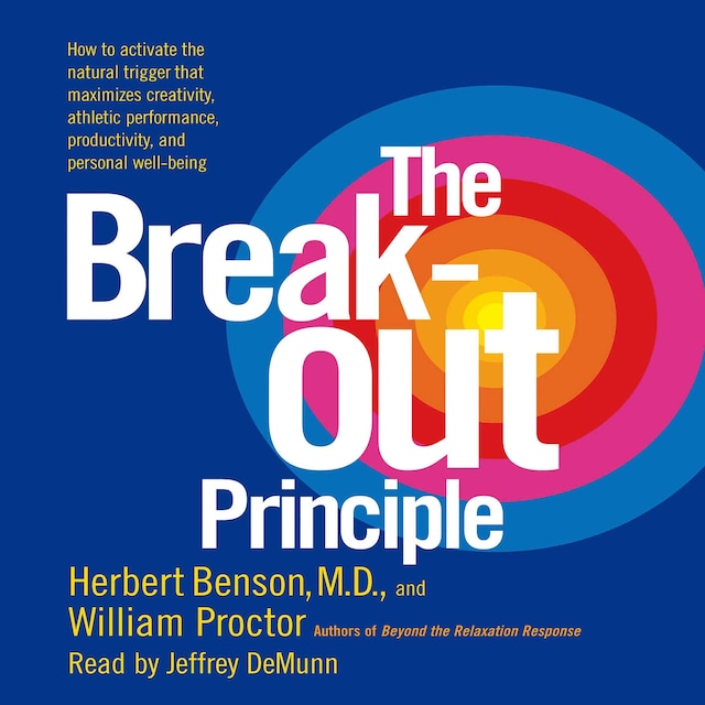 Boekomslag van The Breakout Principle