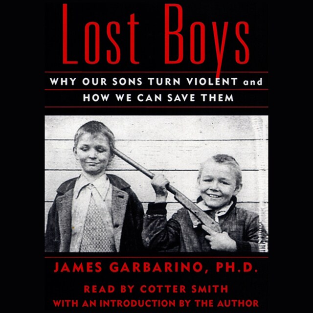 Book cover for Lost Boys