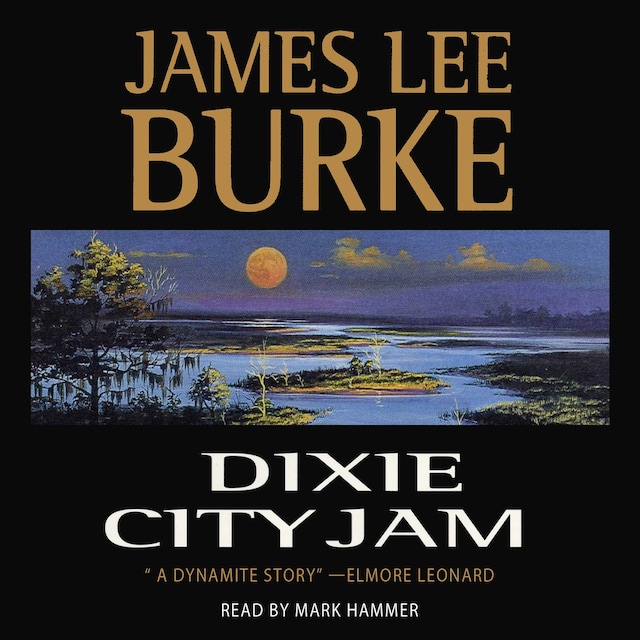Book cover for Dixie City Jam