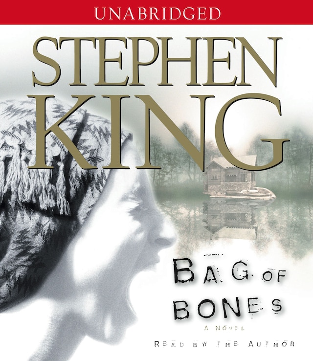 Boekomslag van Bag Of Bones