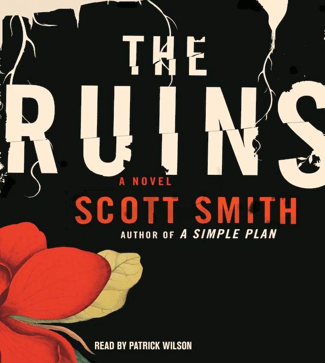 Book cover for The Ruins