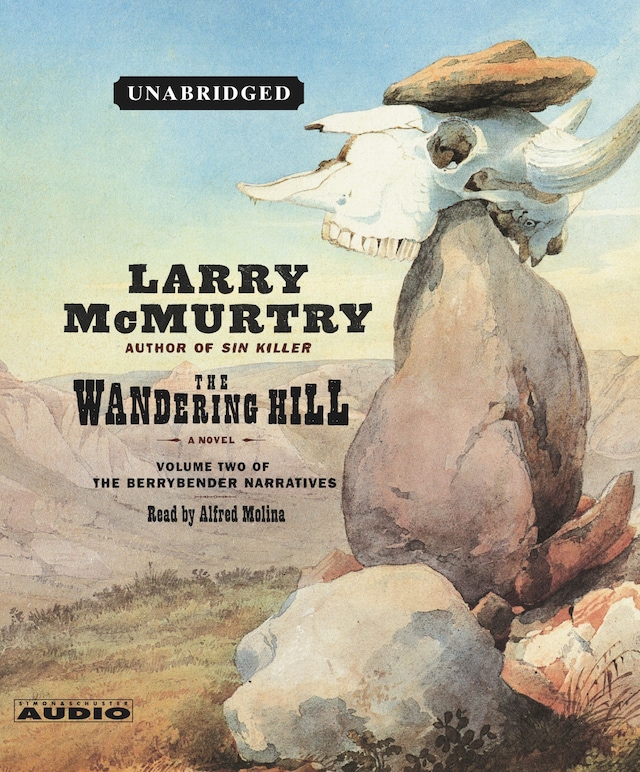 Book cover for The Wandering Hill