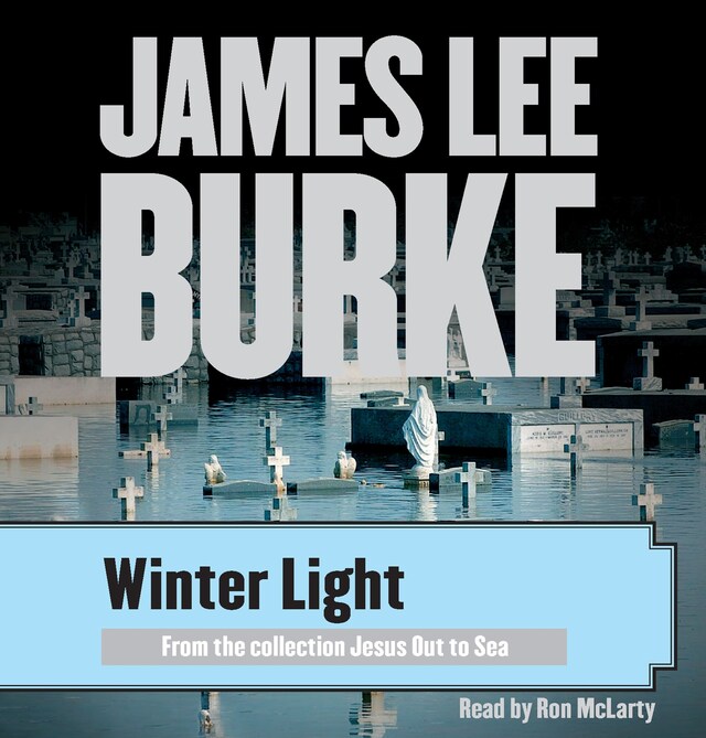 Book cover for Winter Light