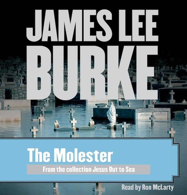 Book cover for The Molester