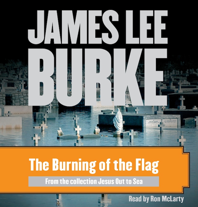 Book cover for The Burning of the Flag