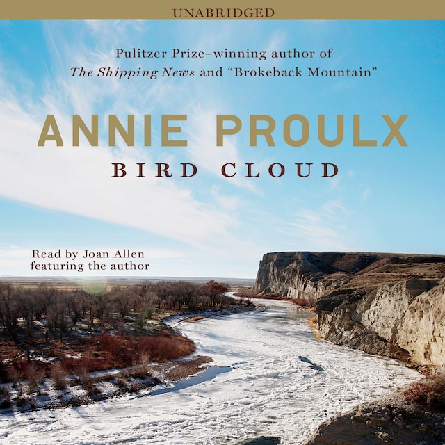 Copertina del libro per Bird Cloud