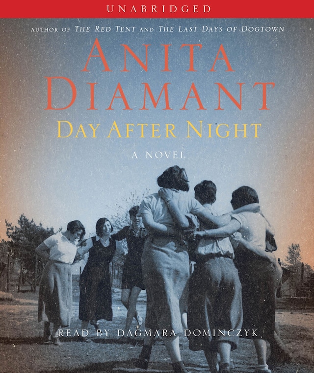Book cover for Day After Night