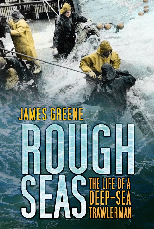 Buchcover für Rough Seas