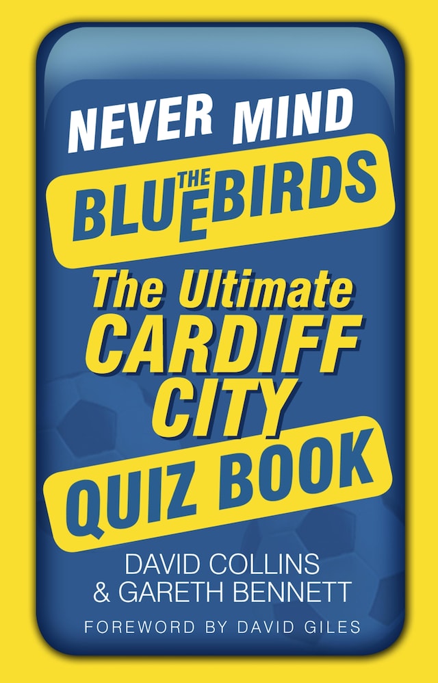 Couverture de livre pour Never Mind the Bluebirds