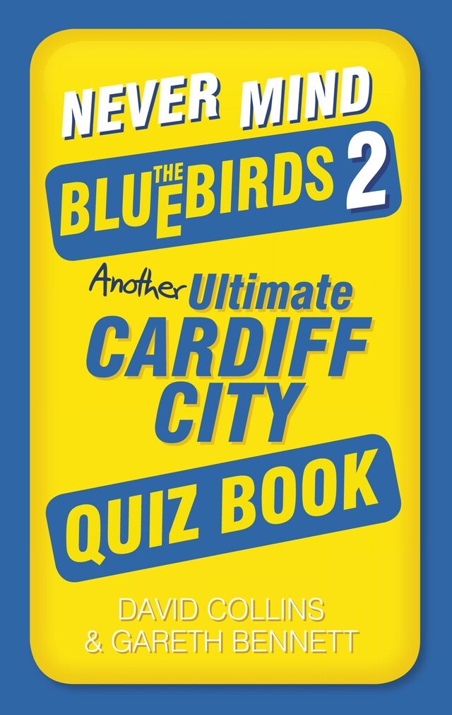 Book cover for Never Mind the Bluebirds 2