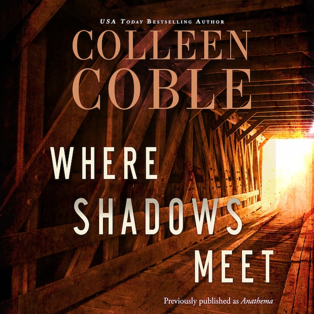 Book cover for Where Shadows Meet