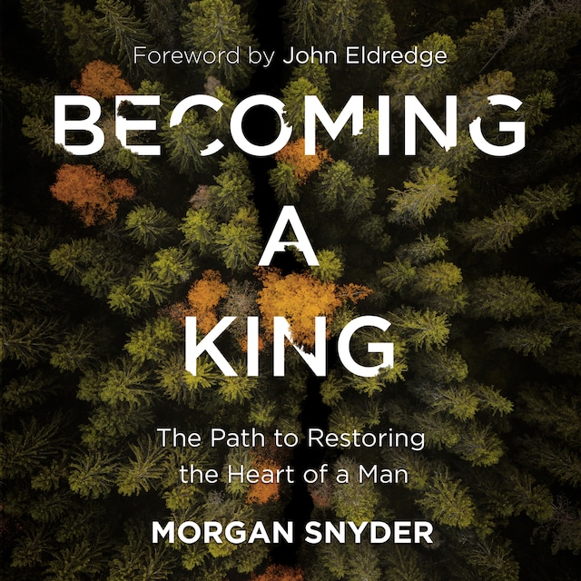 Book cover for Becoming a King