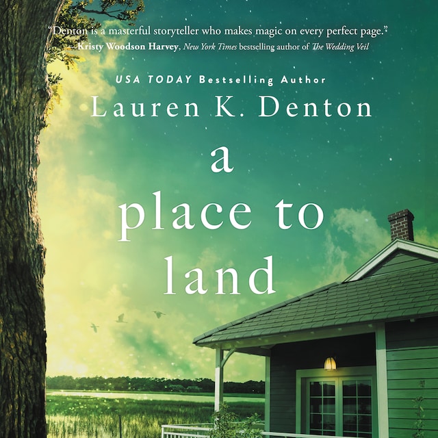 Buchcover für A Place to Land