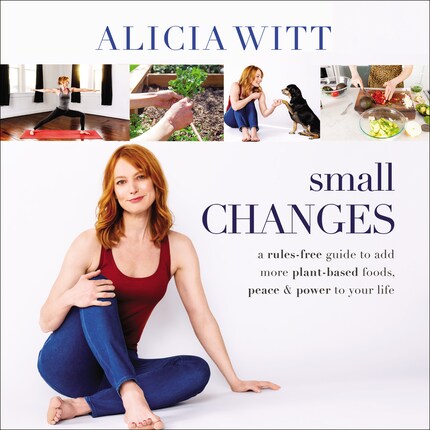 Small Changes bookCoverFor