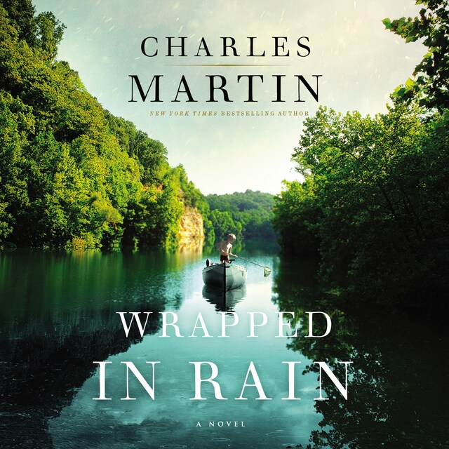 Book cover for Wrapped in Rain