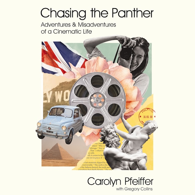 Book cover for Chasing the Panther