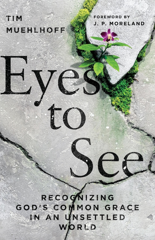 Book cover for Eyes to See