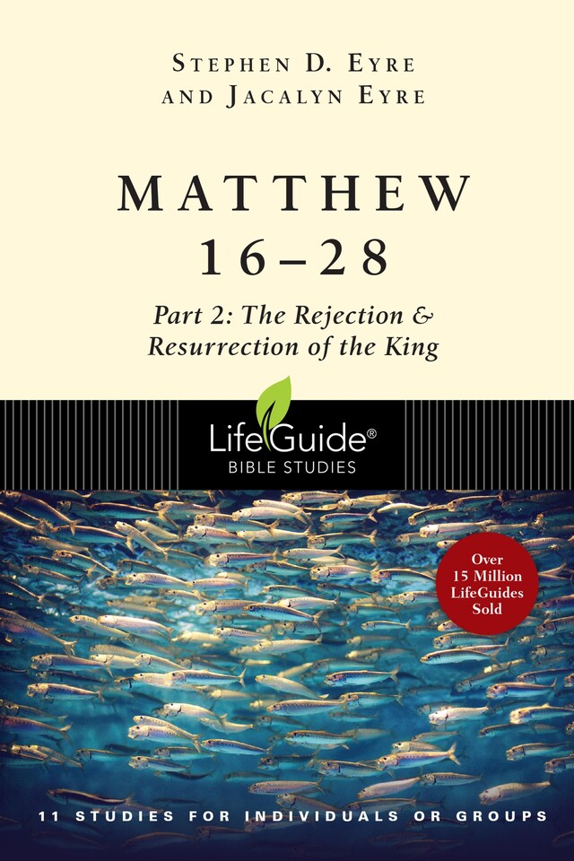 Book cover for Matthew 16-28