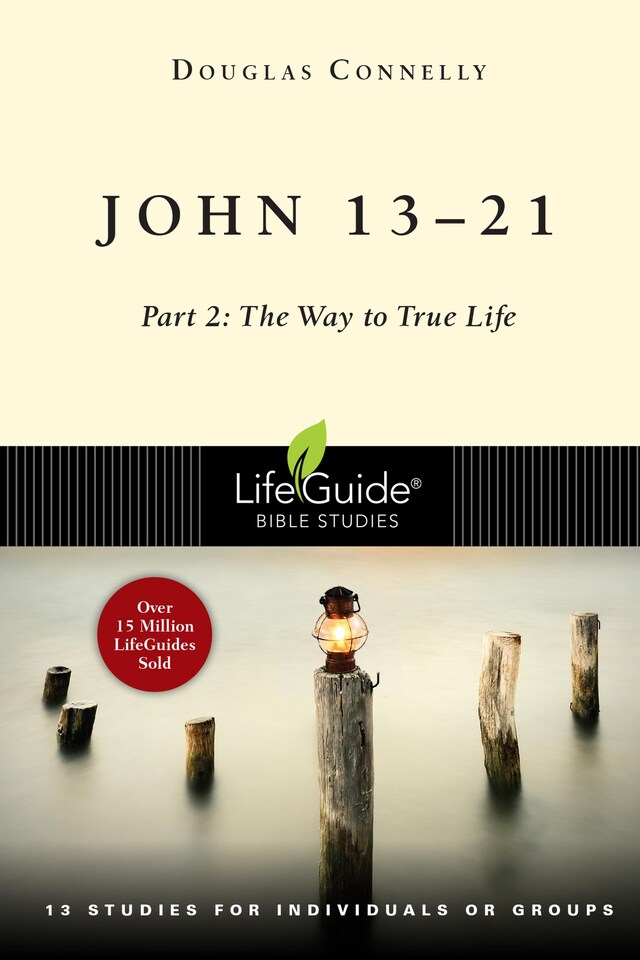 Book cover for John 13-21