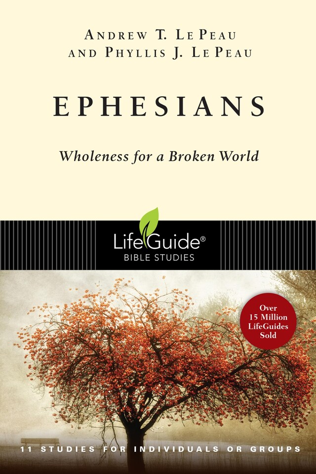 Copertina del libro per Ephesians