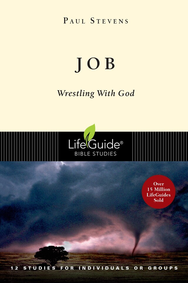 Book cover for Job